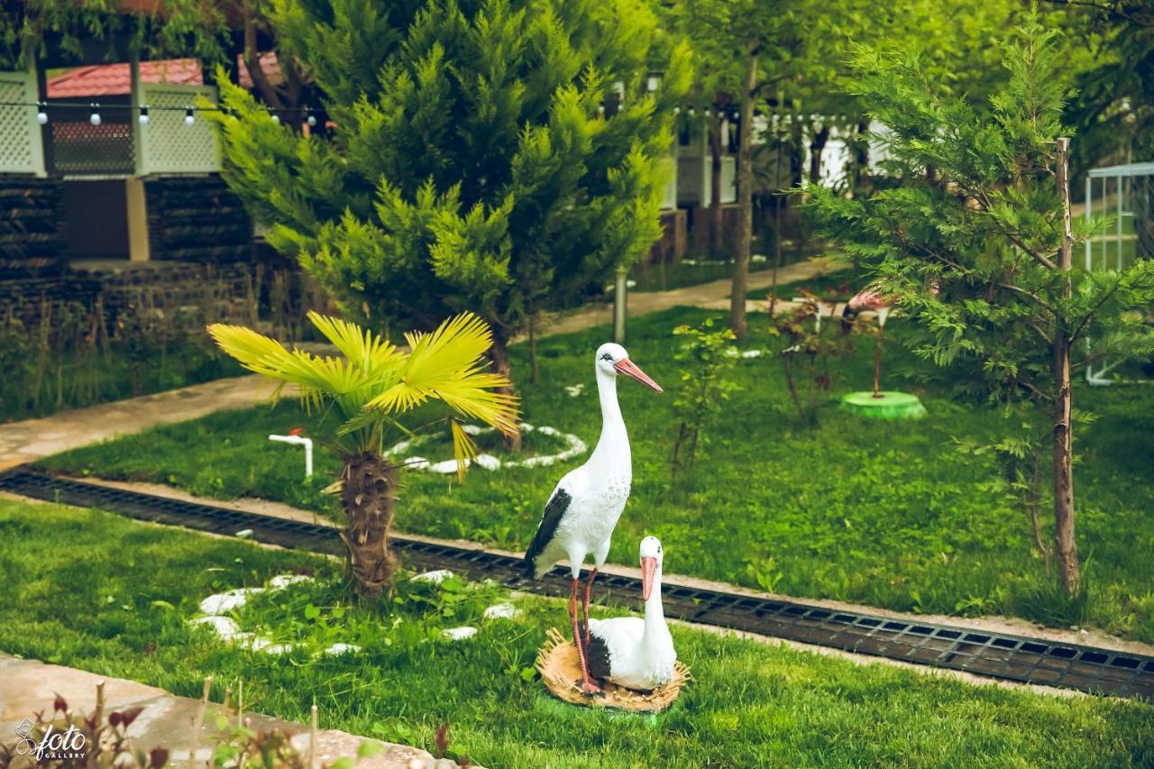 Su Sesi Hotel&Restorant Goygol Ngoại thất bức ảnh